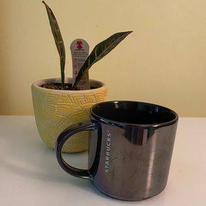 Starbucks stackable cup